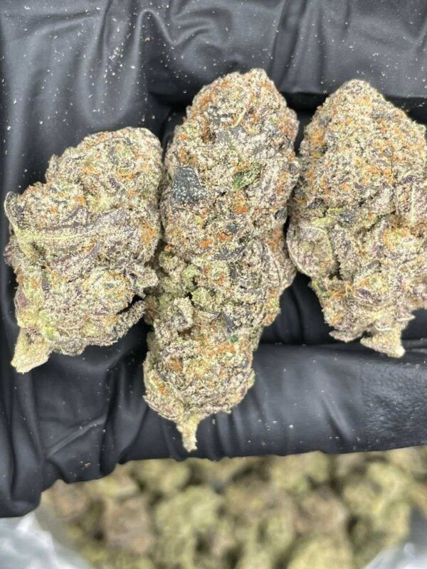 buy gorilla glue strain Europe