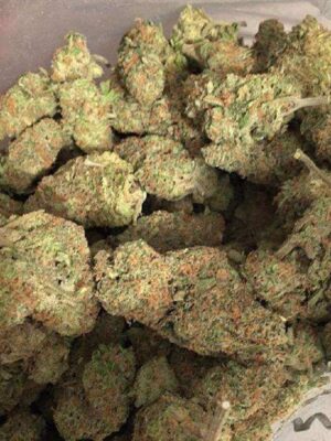 buy sunset sherbet strain online Europe