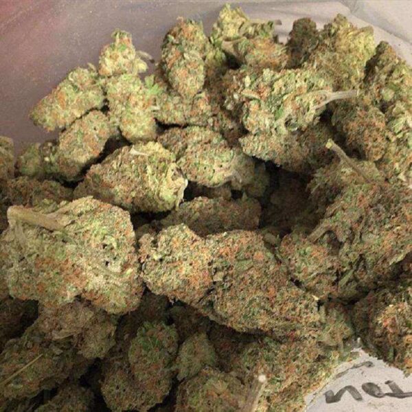 buy sunset sherbet strain online Europe