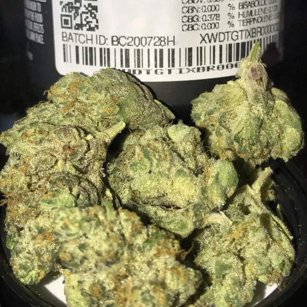 buy banana cream strain Europe