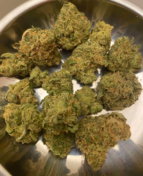 Buy durban poison strain online Europe