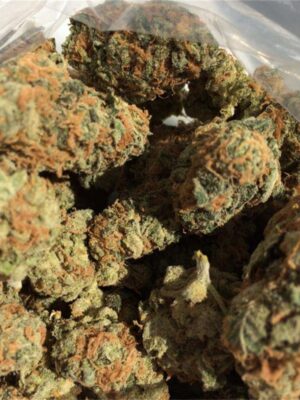 buy paris og strain online Europe