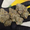 Buy sundae driver strain online Europe