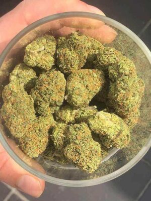 buy zkittlez weed online Europe