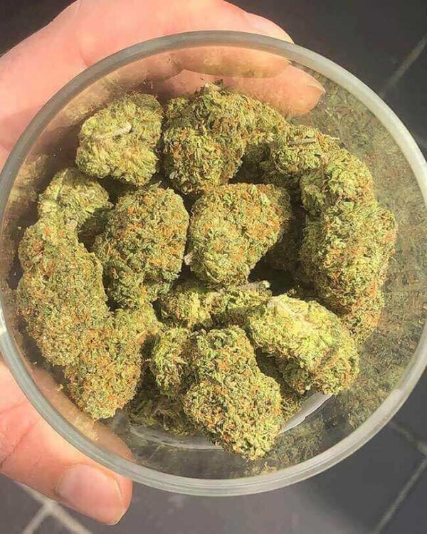 buy zkittlez weed online Europe